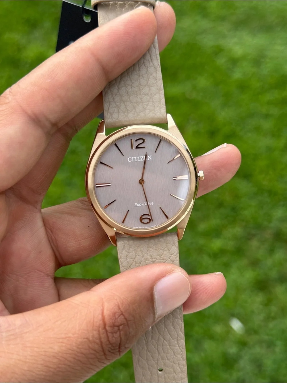 Citizen Men's Taupe Dial thinnest Watch with Gold-Tone eco drive leather watch